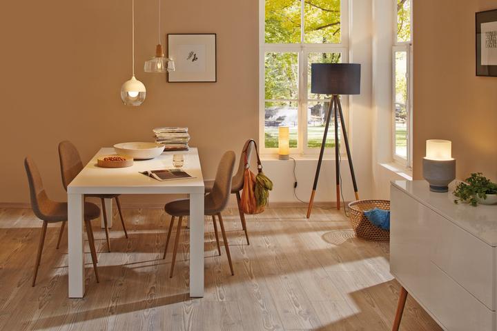 Produktbild Paulmann Neordic Skadi (E14)
