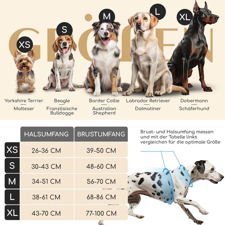 Actual product image Freudentier Clyde dog harness (S, Dog, General)