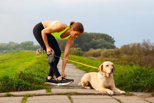 Immagine prodotto Flexi Gigante (M, Cane, Passeggiare)