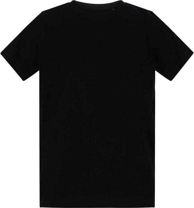 Actual product image Awdis Childrens/Kids T-Shirt (116)