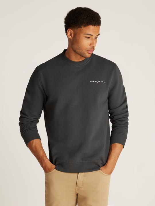 Actual product image Tommy Jeans Tjm Reg Linear Crew Ext (M)