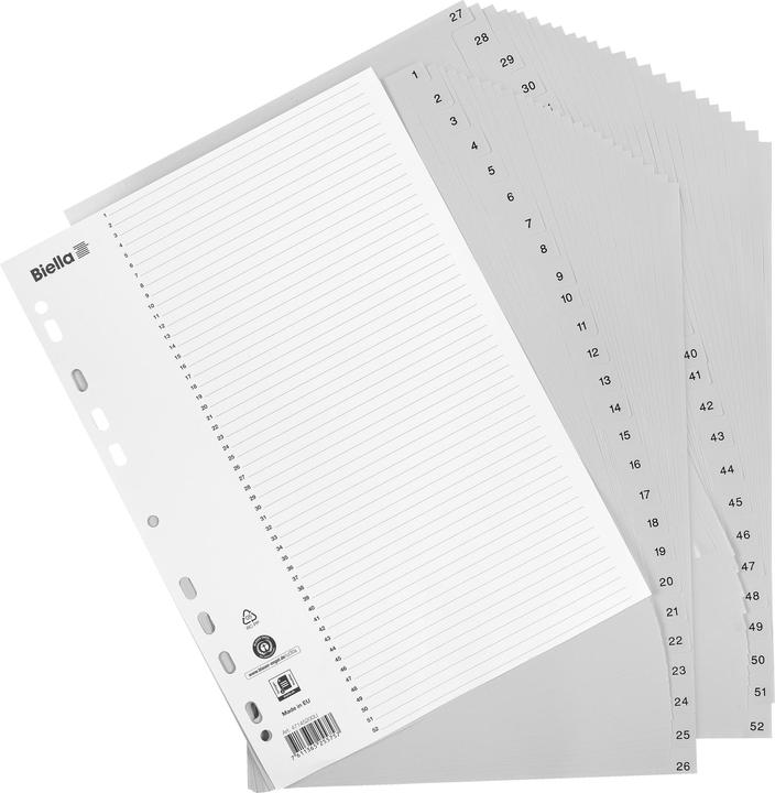 Immagine prodotto Biella Registro PP