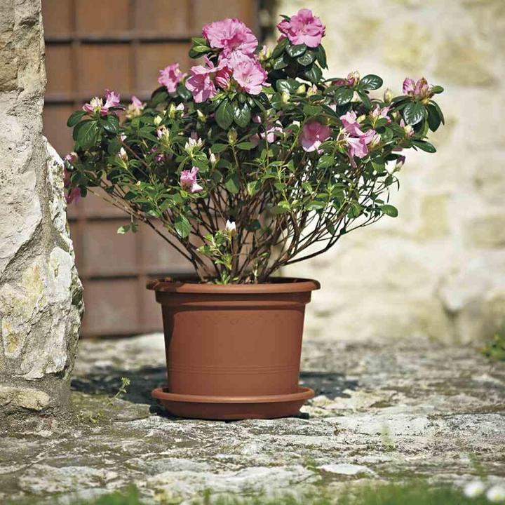 Actual product image Euro3plast Planter (50 cm)