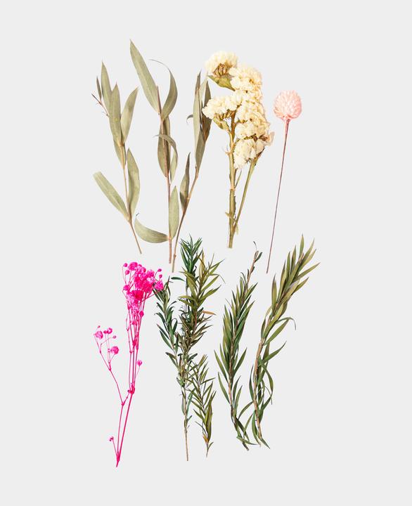 Image du produit I Am Creative Kit de fleurs séchées (Fleurs séchées)