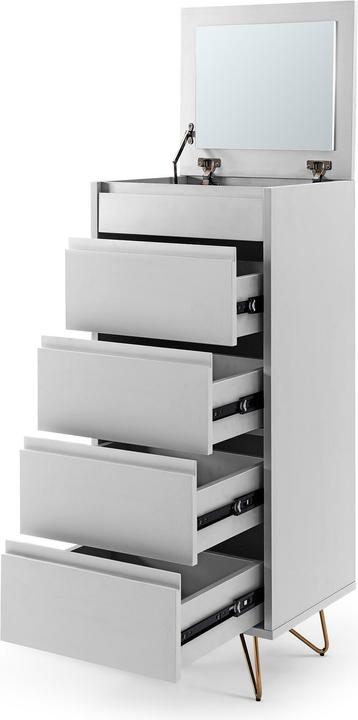 Actual product image SalesFever Charlie (110 x 45 x 40 cm)
