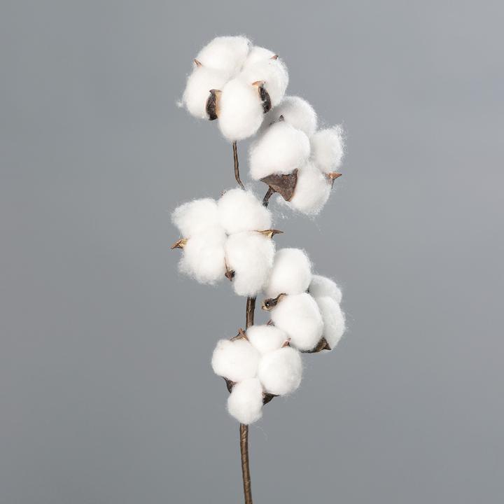Image du produit DPI Branche de coton, L 49 cm