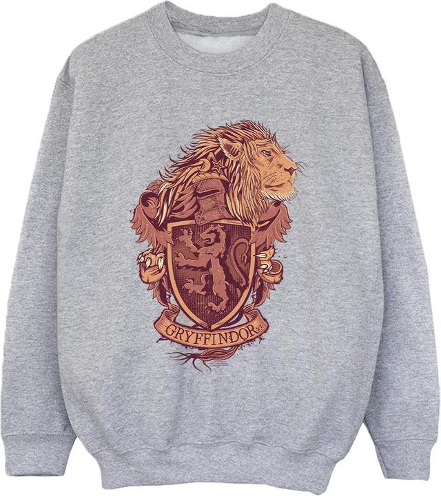 Gryffindor Sketch Crest Sweatshirt Jungen