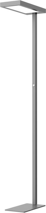 Actual product image Hansa JASPIS - LED floor lamp (5600 lm)