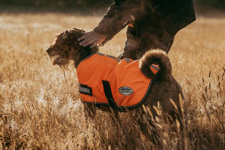 Image du produit Weatherbeeta Comfitec Parka réfléchissante 300D Manteau pour chien (30, Manteau pour chien)
