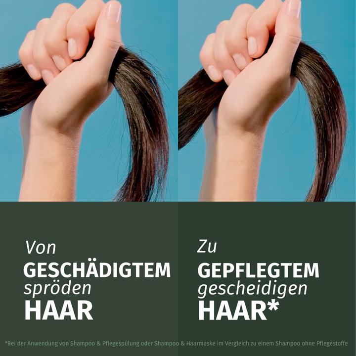 Image du produit Herbal Essences Réparation à l'huile d'argan (350 ml, Shampoing liquide)