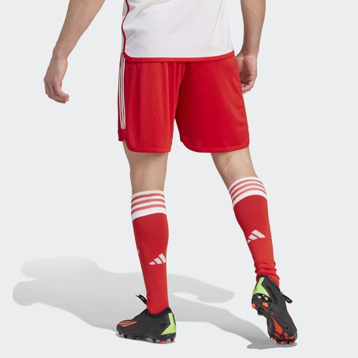 Actual product image adidas FC Bayern Munich Shorts (M)