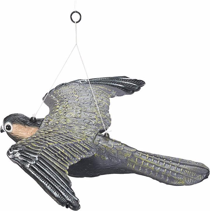 Image du produit Royal Gardineer Effaroucheur d'oiseaux "Faucon" à suspendre
