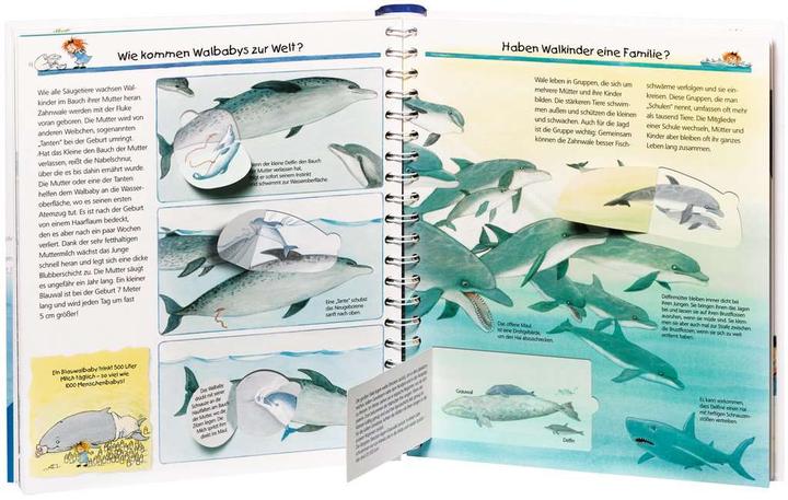 Produktbild Ravensburger Wir entdecken Wale und Delfine (Deutsch, Doris Rübel, 2011)