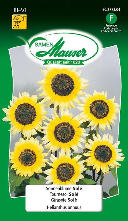 Girasole Solé (Semi di piante)