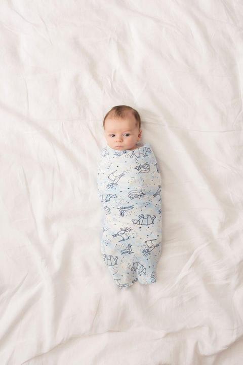 Produktbild aden + anais Silky Soft (120 cm, 120 cm)