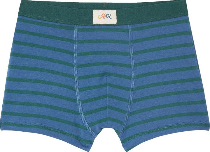 Actual product image Vertbaudet Bio-Kollektion: 5er-Pack Jungen Stretch-Boxershorts COOL (104, 5-pack)