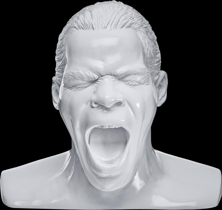 Actual product image Oehlbach Scream