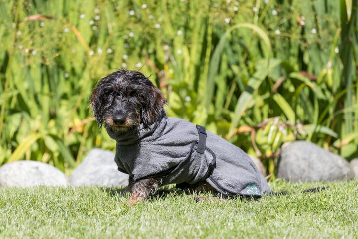 Actual product image Trixie Bathrobe (L, Dog bathrobe)