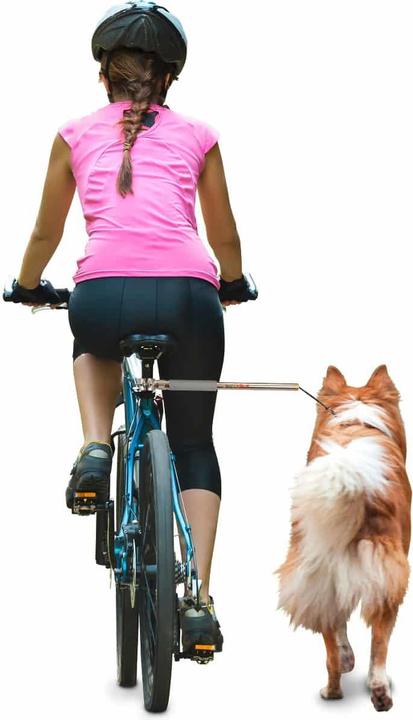Immagine prodotto Dobar In più (Taglia unica, Cane, Passeggiare, Moto)
