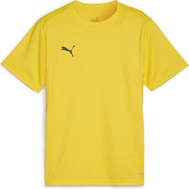Immagine prodotto Puma Maglia TeamGOAL Jr (164)