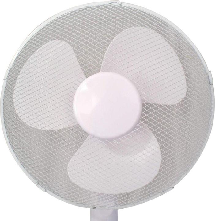 Actual product image Fs-Star Stand fan