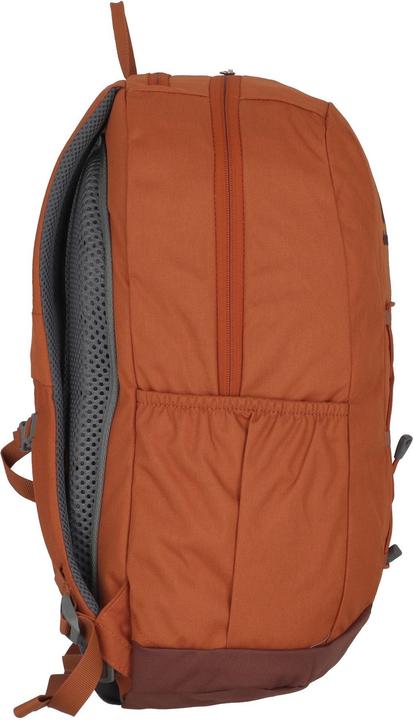 Actual product image Deuter Gogo (28 l)