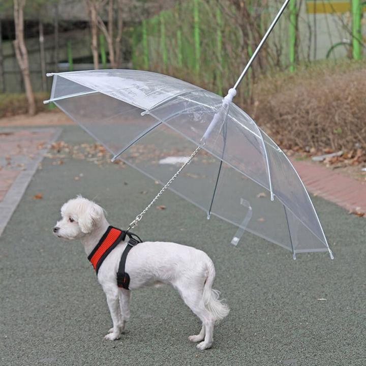 Produktbild Novidarte Hundeschirm mit Leine (Hund)
