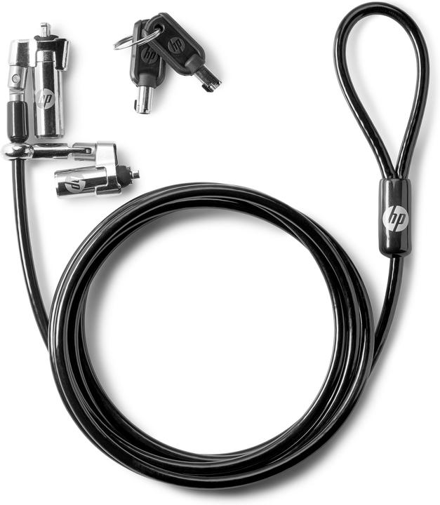 Actual product image HP Dual Head Keyed Cable Lock