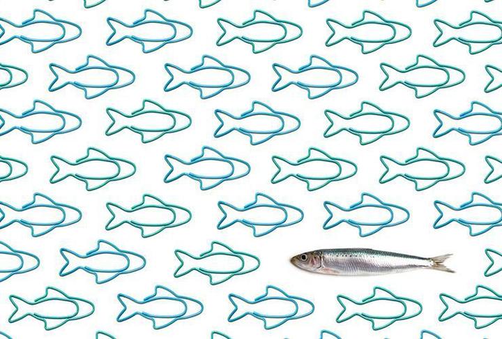 Actual product image Ototo Sardines Paper Clip