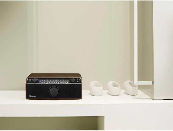 Produktbild Sangean WR-12BT - Radio - Nussbaum (AM, FM, Bluetooth)