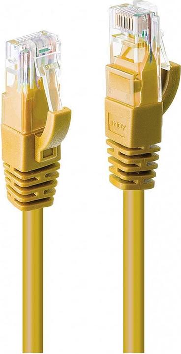 Image du produit Lindy Câble de réseau (U/UTP, CAT6, 3 m)