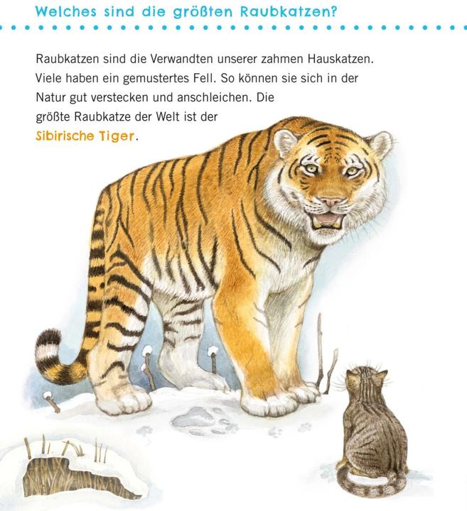 Produktbild Unkaputtbar: Erstes Wissen: Grosse Tiere (Deutsch, Petra Klose, 2021)