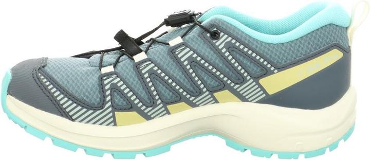 Image du produit Salomon XA Pro V8 CSWP J (36)
