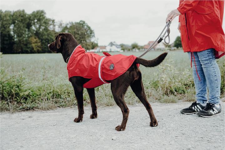 Image du produit Hunter Manteau pour chien Uppsala Rain (30, Manteau pour chien)