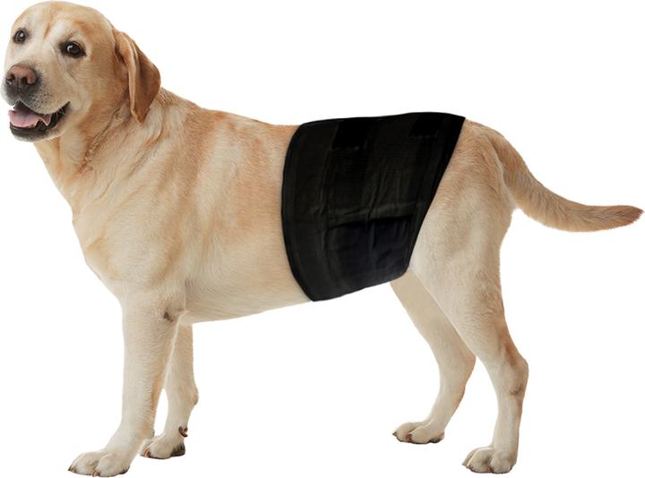 Freezack Disposable diapers for males S (Dog)