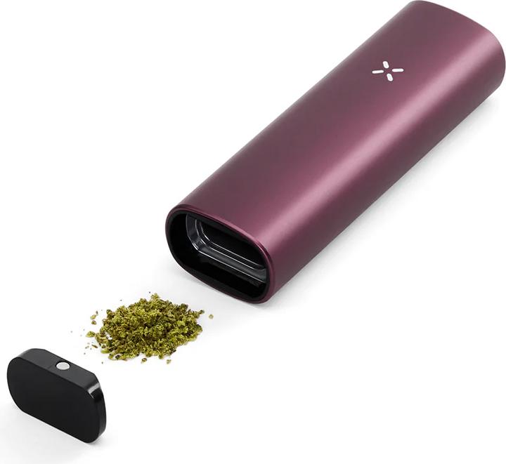 Produktbild Pax Plus Elderberrry Kit