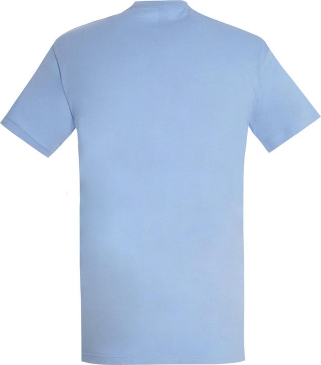 Image du produit Sols UTPC290 P (XXL)