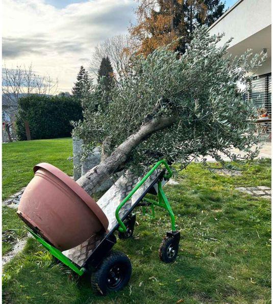 Immagine prodotto Zipper ZI-ET260 slittino elettrico a sacco (260 kg)