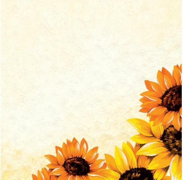 Actual product image Sigel Motif Paper (90 g/m², 50 x, A4)