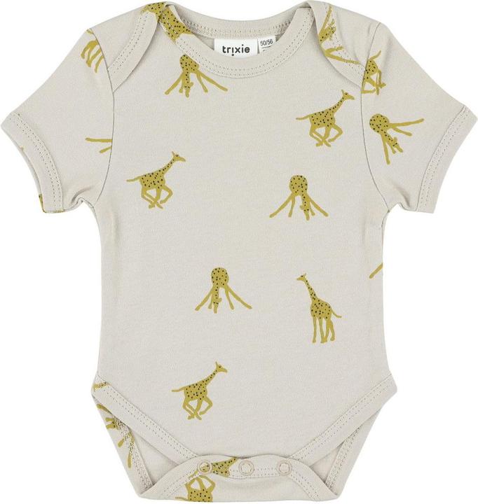 Groovy Giraffe