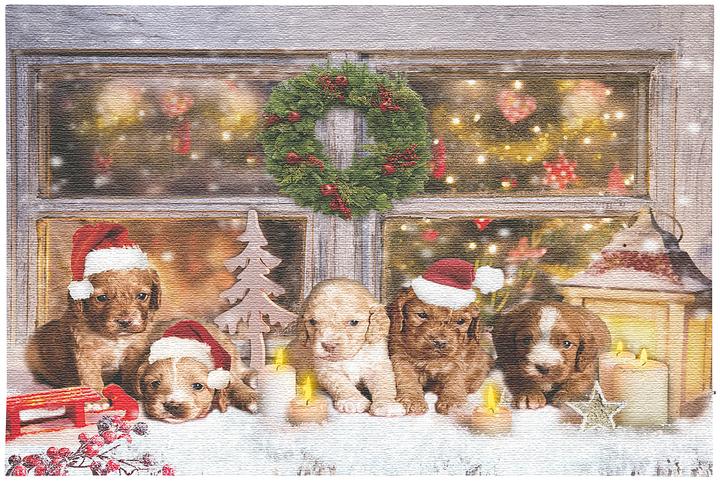 Infactory LED-Wandbild, Weihnachts-Hundewelpen-Motiv (60 x 40 cm)