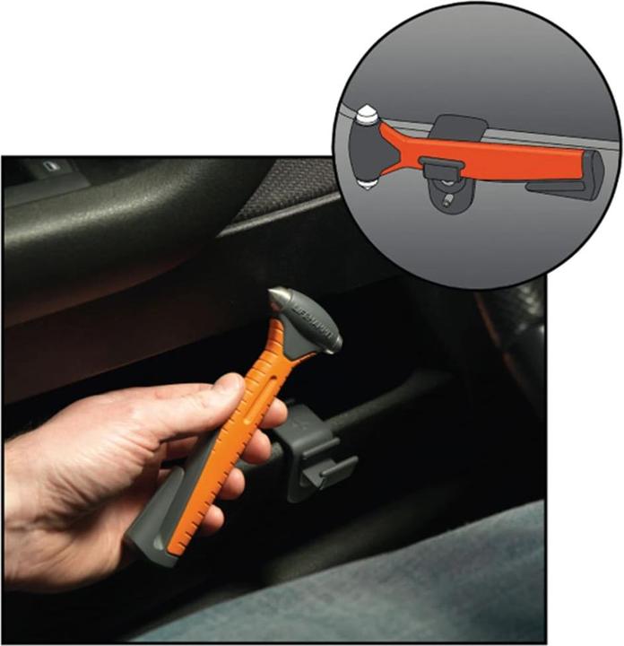Actual product image LifeHammer Regina