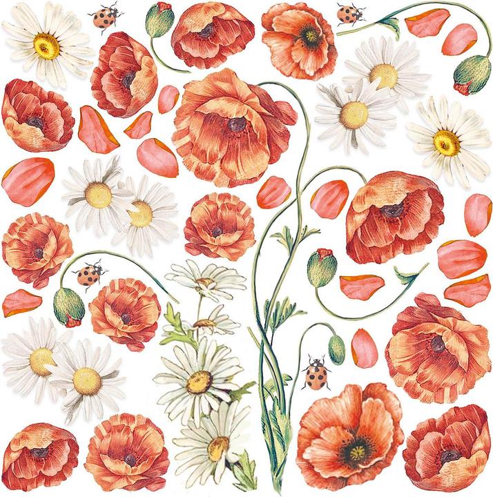 Produktbild Ciao Bella Vellum Paper "Enchanted Land", 15 x 15 cm, 6 Blatt (90 g/m², 6 x)