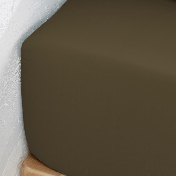 Actual product image La Redoute Interieurs Percale Bio (180 x 200 cm)