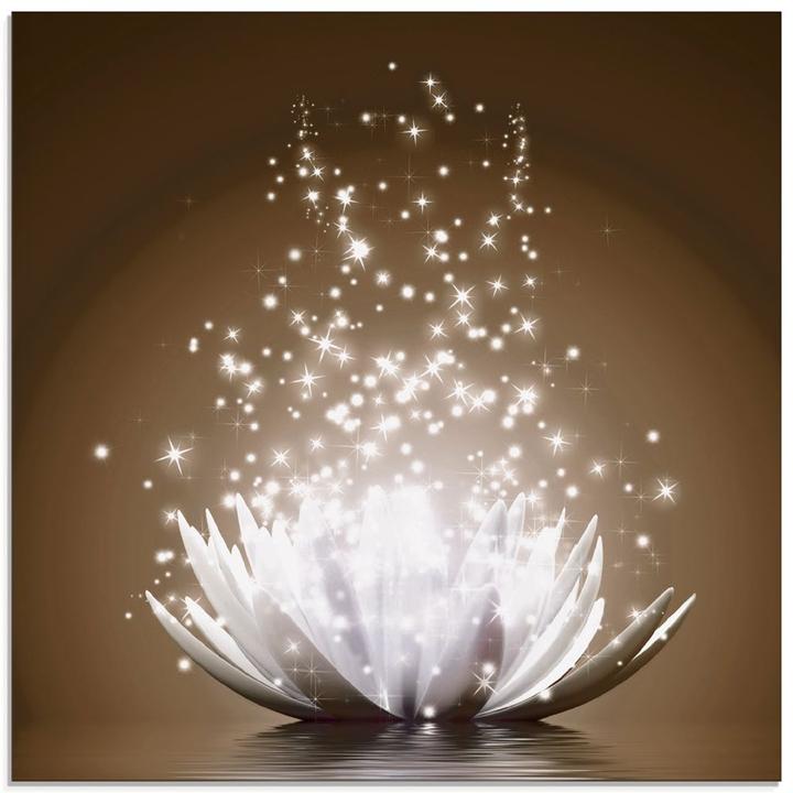Produktbild Artland Magie der Lotus-Blume T3ZX (50x50 cm)