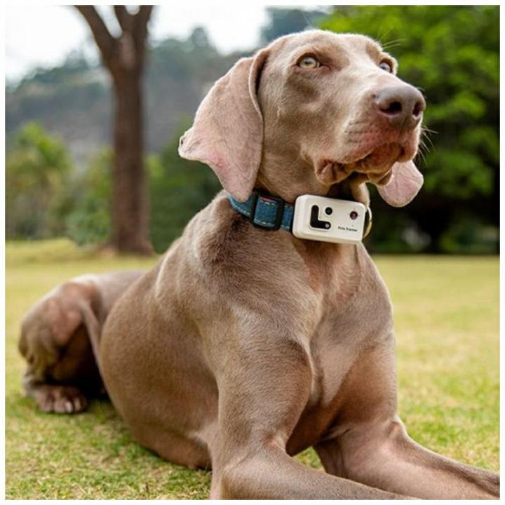 Immagine prodotto Enabot ROLA PetTracker