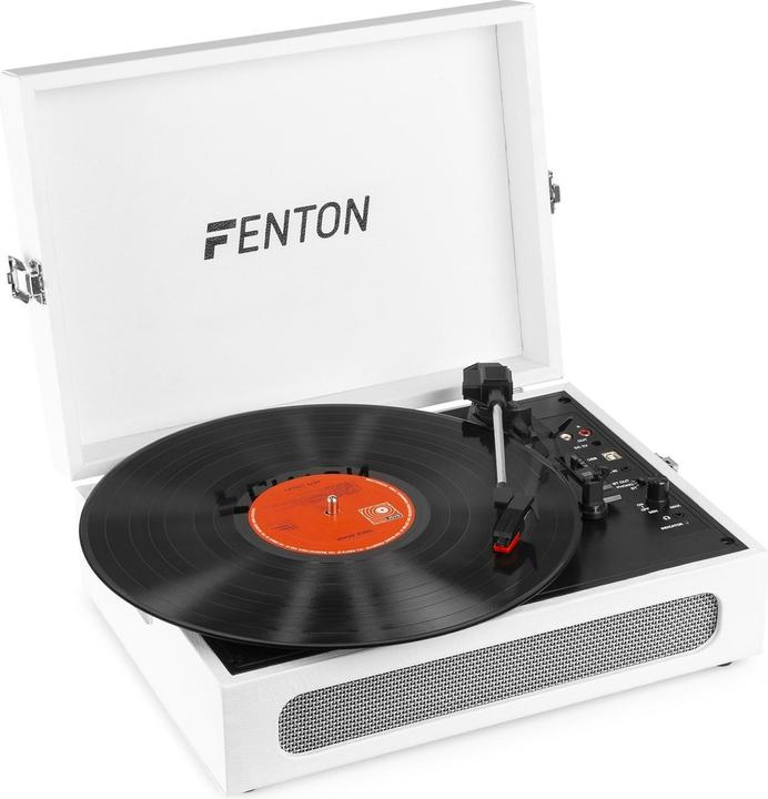 Actual product image Fenton RP118F (Manual)