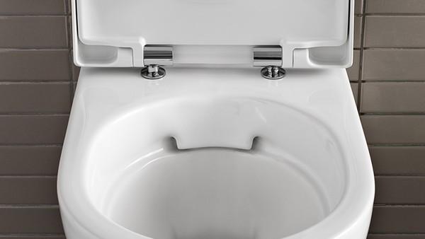 Actual product image Geberit Keramag / WC seat Acanto Slim white antibacterial soft-closing mechanism 500660012