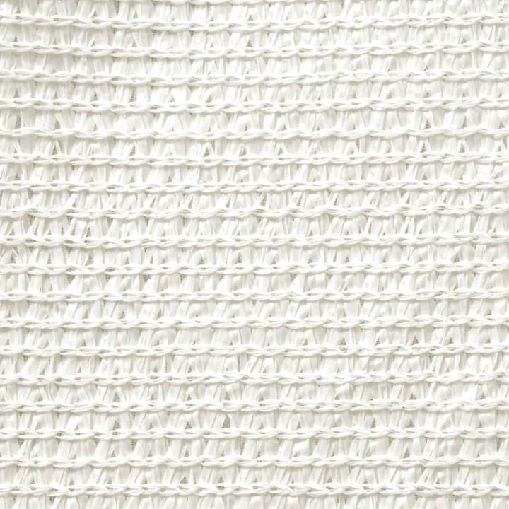 Image du produit VidaXL Alethea (250 x 450 cm)