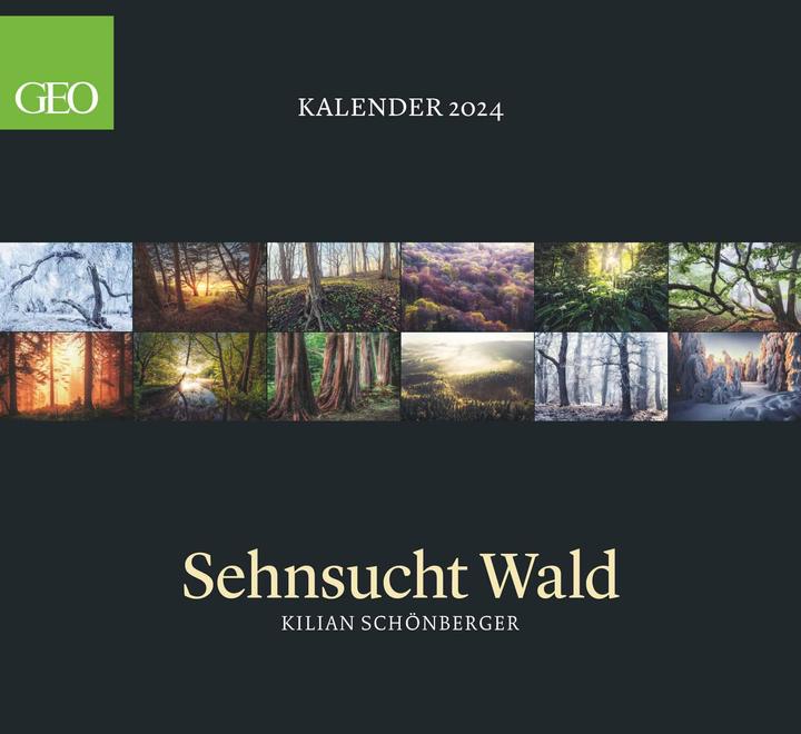 Actual product image Neumann GEO Calendar: Forest Longing 2024 - Wall Calendar - Nature Calendar - 60x55 (German)